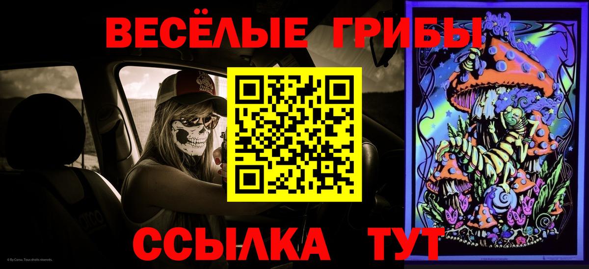 Псилоцибиновые грибы ЛСД Ишимбай