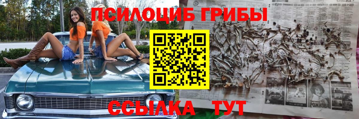 Ишимбай  Псилоцибиновые грибы ЛСД  Вход с VPN 